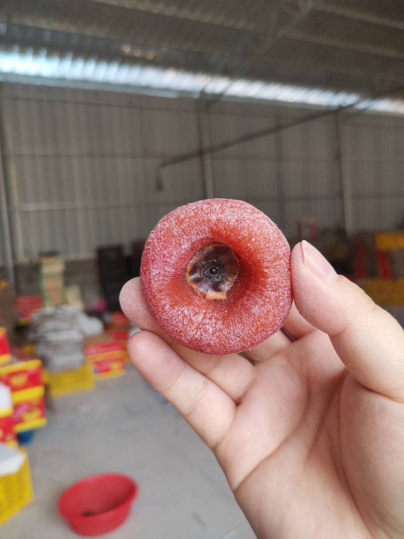 商丘河南柿饼恭城平乐广西柿饼圆饼吊饼柿饼子源头厂家货源