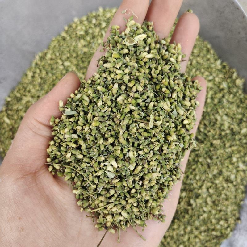 槐米，槐花米，新货颜色好，产地货源，保质保量，批发各种中
