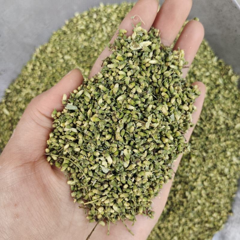 槐米，槐花米，新货颜色好，产地货源，保质保量，批发各种中