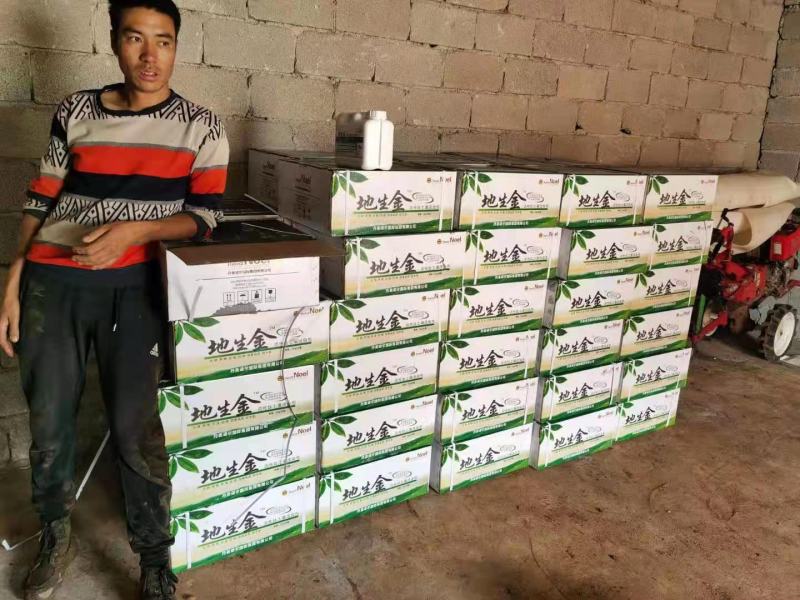 根腐病套餐专治死棵烂苗茎基腐病等土传病害疏松土壤快速生根