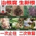 根腐病套餐专治死棵烂苗茎基腐病等土传病害疏松土壤快速生根