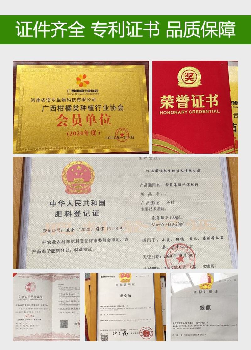 根腐病套餐专治死棵烂苗茎基腐病等土传病害疏松土壤快速生根