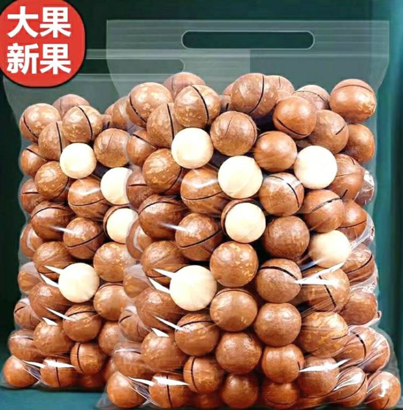 夏威夷果薄壳奶香夏威夷果口感爽脆美味坚果零食包邮