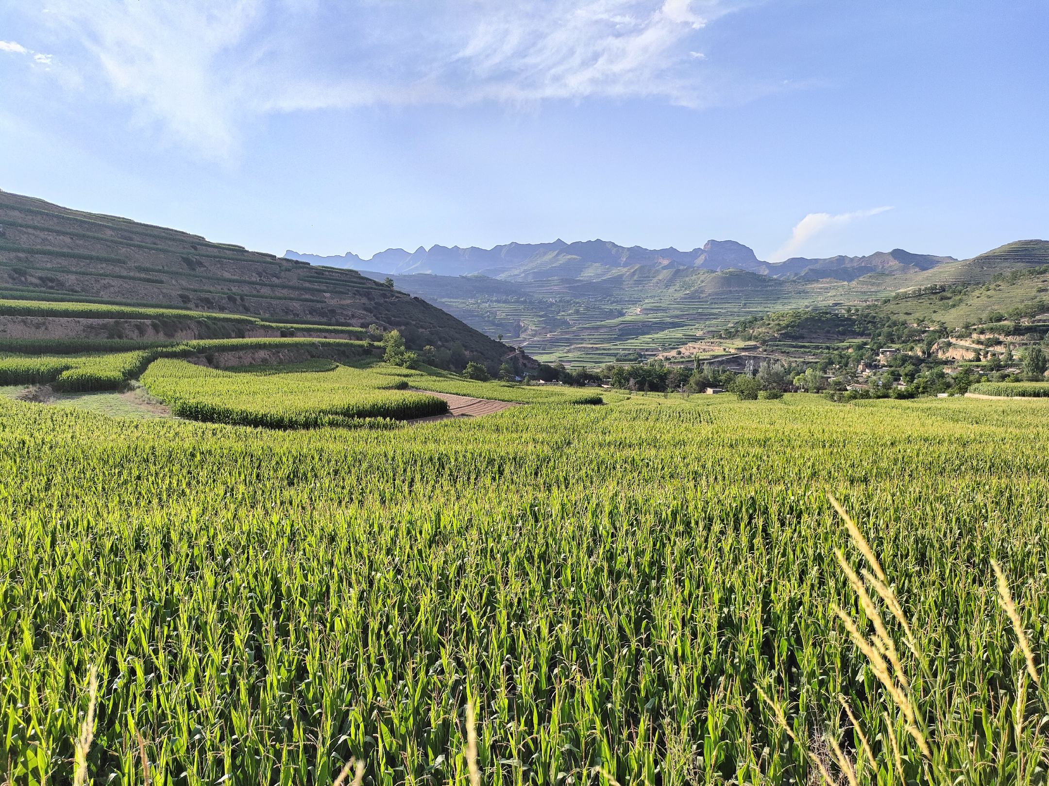 红玉矿区的自然风光