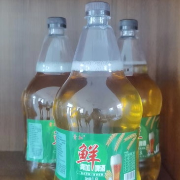 鲜啤酒扎啤大量供应欢迎咨询