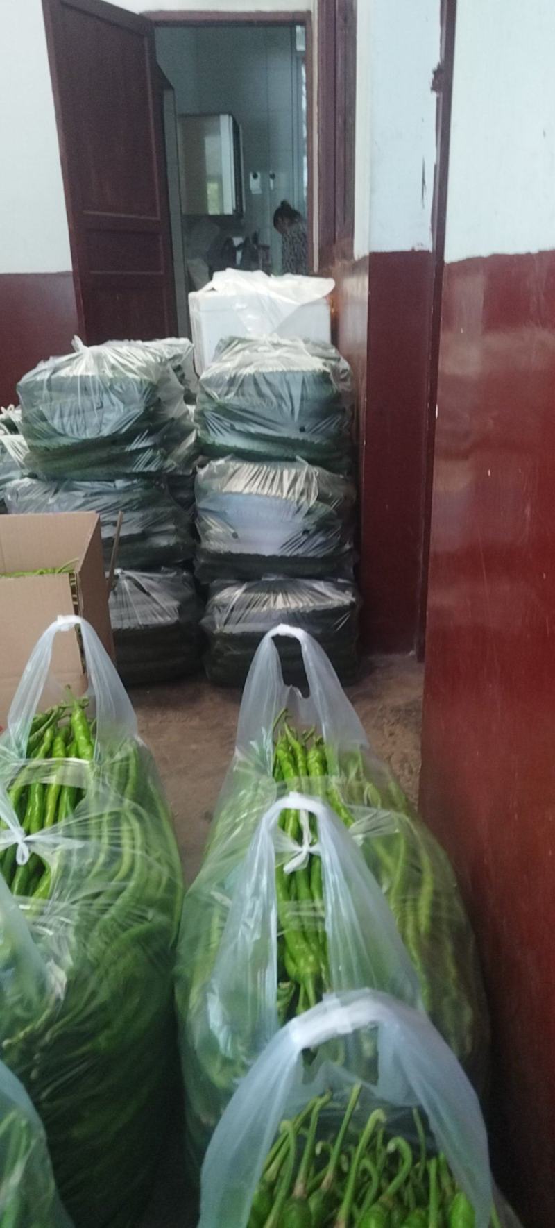 芜湖椒，豇豆，黄线椒茄子密刺黄瓜