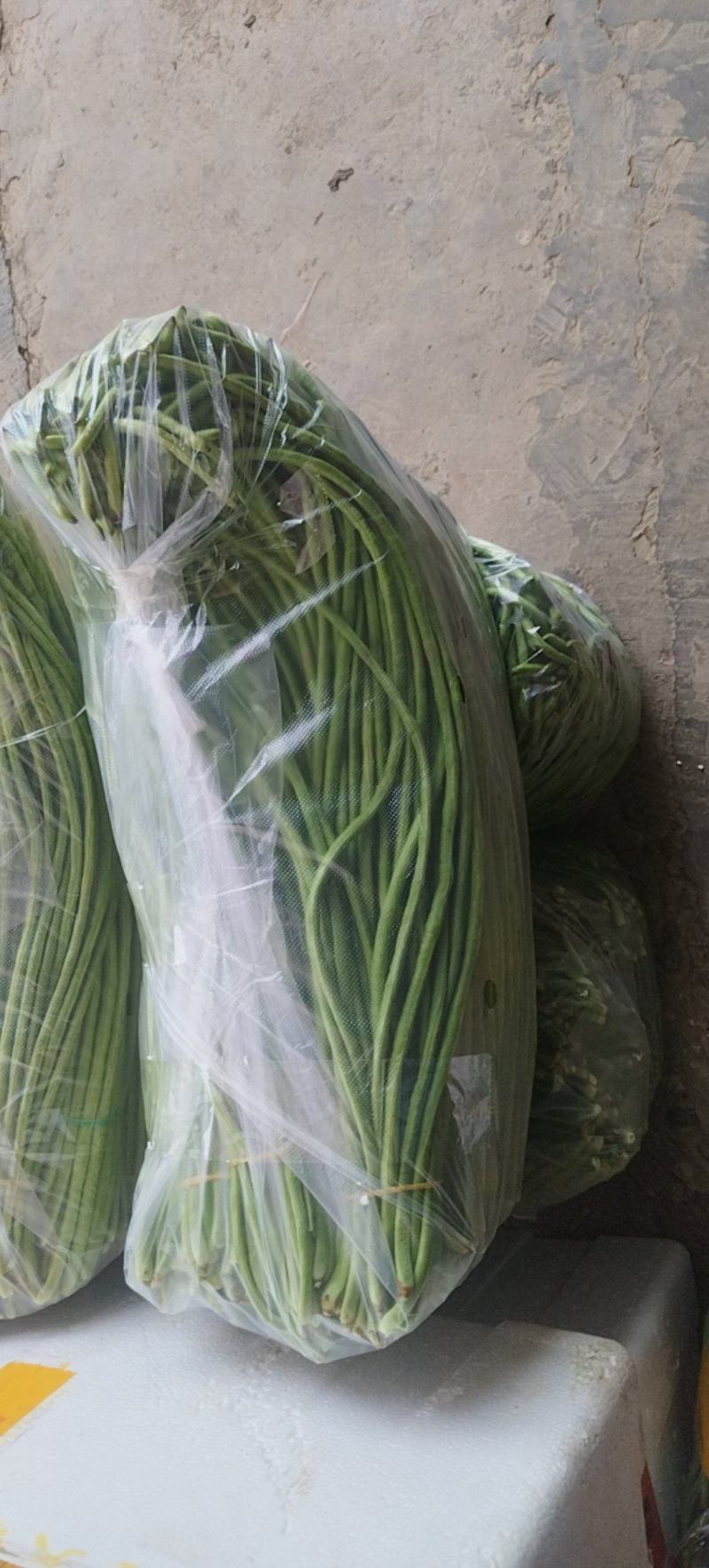 芜湖椒，豇豆，黄线椒茄子密刺黄瓜