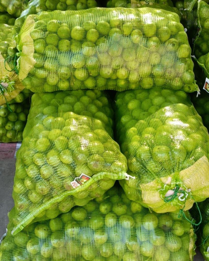 礼品核桃(青皮)