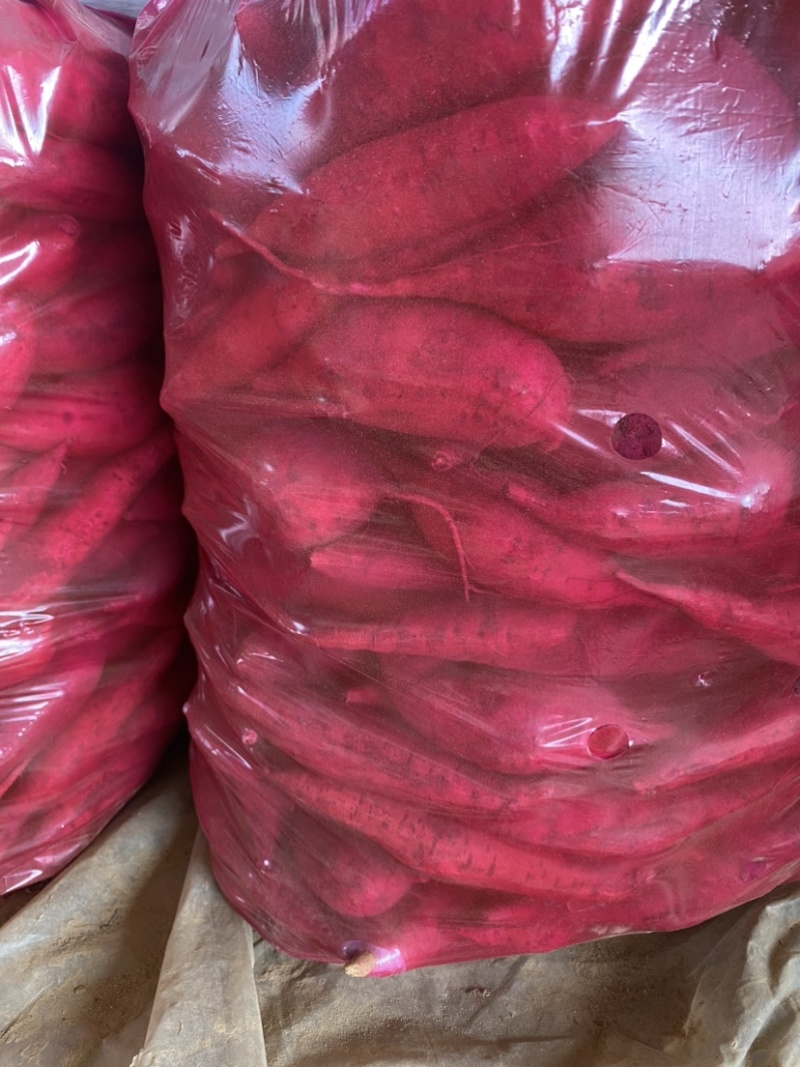 开封纯沙地西瓜红2-4两，一手货源量大从优。