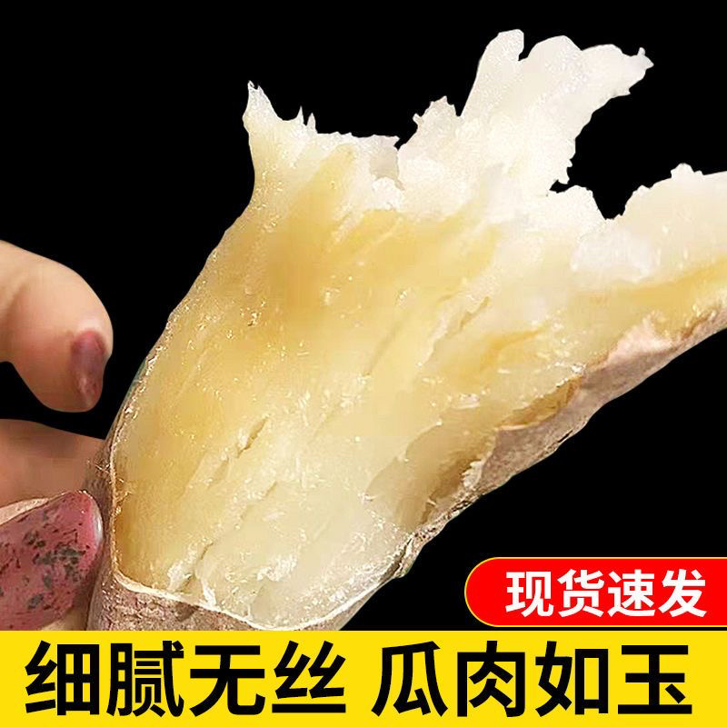 山东哈蜜冰糖薯新鲜白心蜜薯糖心红薯超甜沙地白薯粉糯
