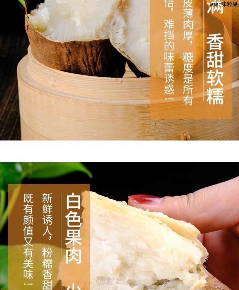 山东哈蜜冰糖薯新鲜白心蜜薯糖心红薯超甜沙地白薯粉糯