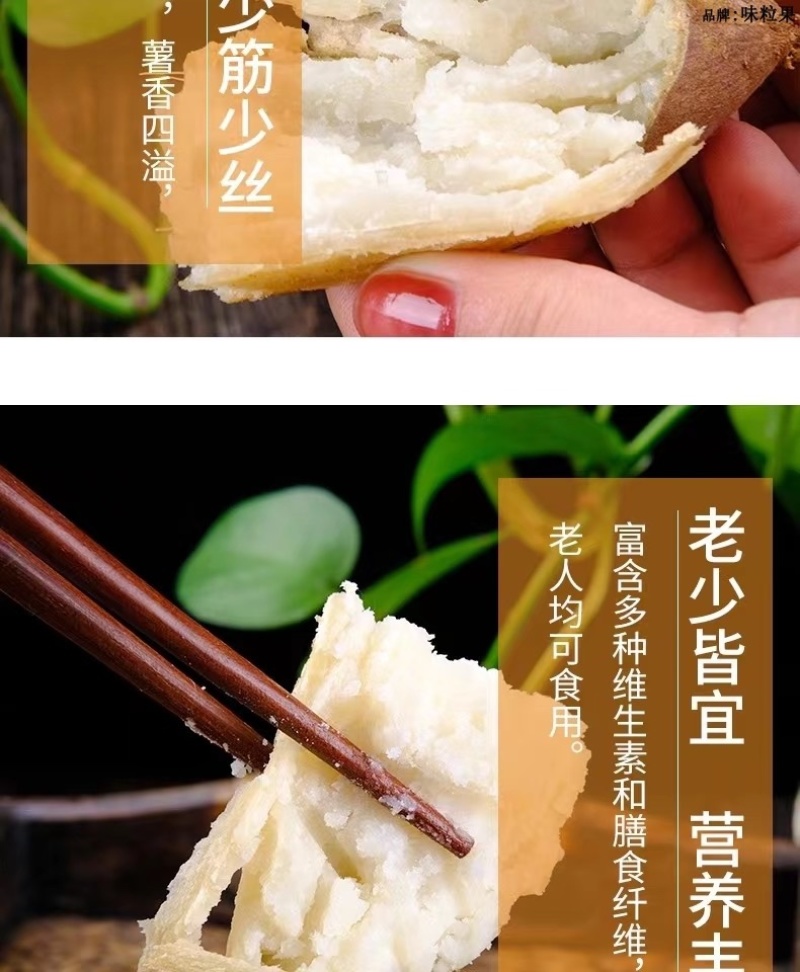 山东哈蜜冰糖薯新鲜白心蜜薯糖心红薯超甜沙地白薯粉糯