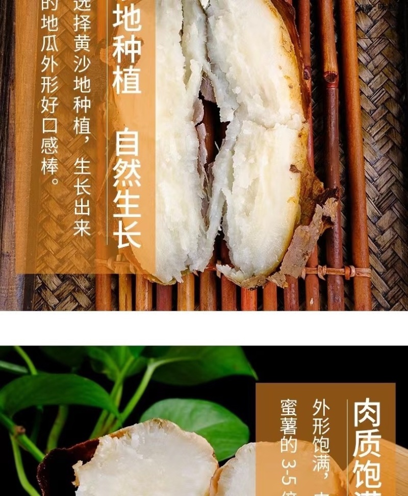 山东哈蜜冰糖薯新鲜白心蜜薯糖心红薯超甜沙地白薯粉糯