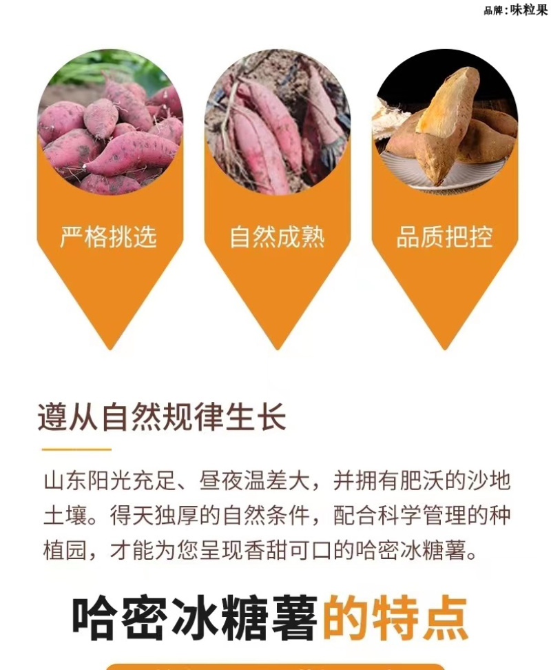 山东哈蜜冰糖薯新鲜白心蜜薯糖心红薯超甜沙地白薯粉糯