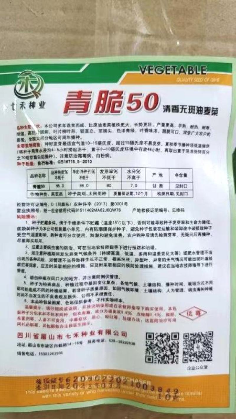 油麦菜种子靑翠50脆甜油麦菜品种