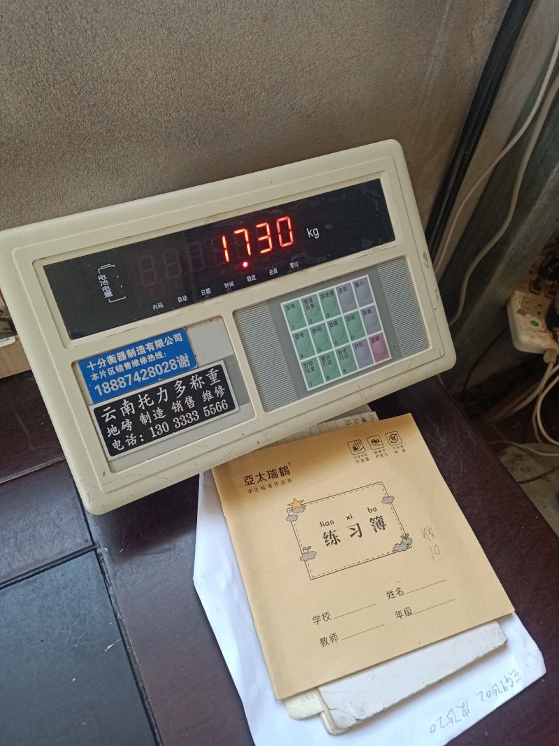 佛手瓜云南产地一手货源质量好，价格优货源充足电联