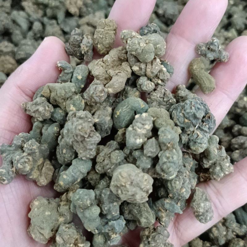 夏天无包邮水洗货伏地延胡索一粒金丹落水珠一手货源产地直发