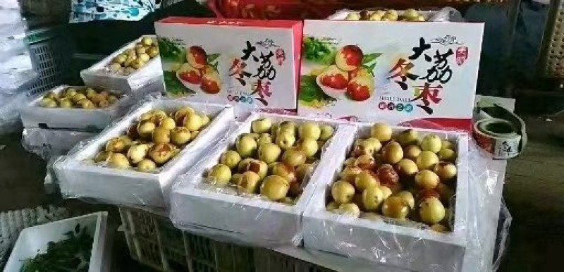 冬枣价格陕西渭南冬枣批发冬枣基地，冬枣批发