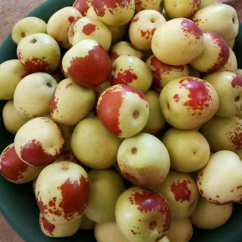 冬枣价格陕西渭南冬枣批发冬枣基地，冬枣批发