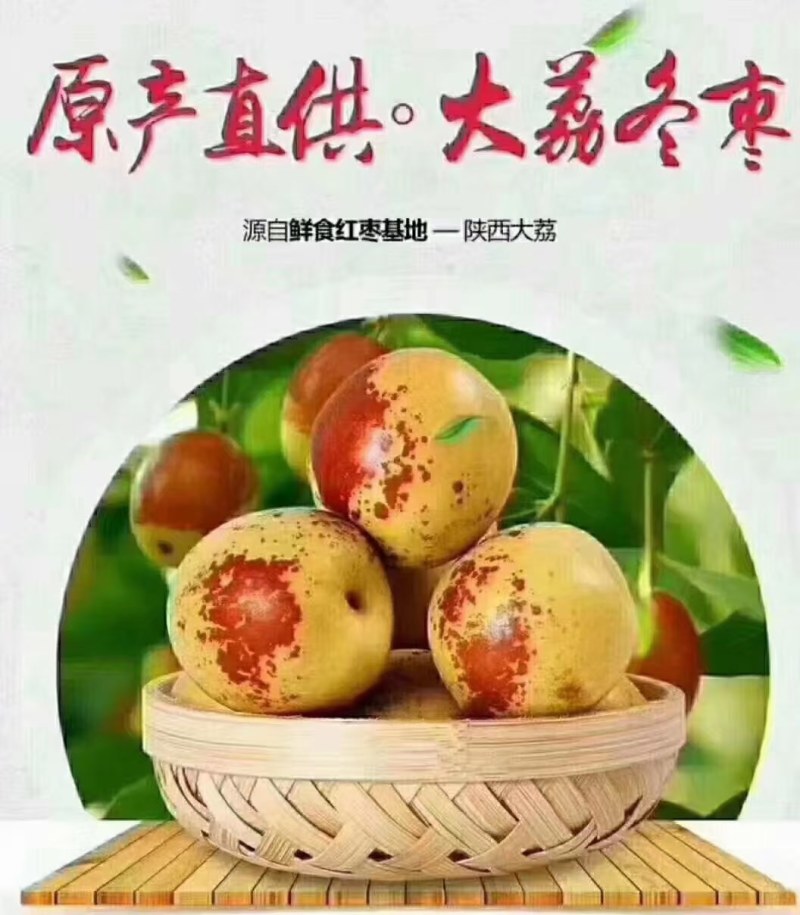 冬枣价格陕西渭南冬枣批发冬枣基地，冬枣批发
