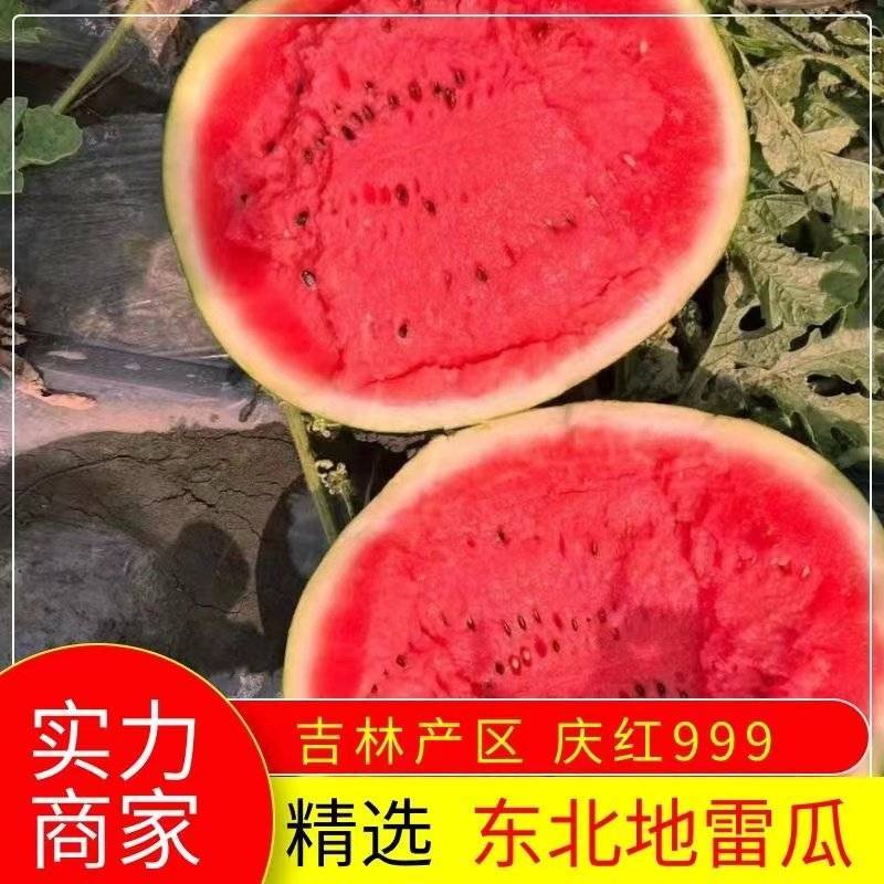 东北地雷庆红999西瓜，二级瓜，大量有货，有需要的联系