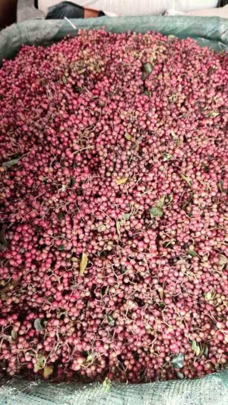 云南花椒鲜花椒全国在发可视频看货