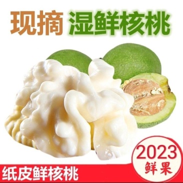 新疆阿克苏青皮核桃新鲜核桃上市壳薄仁大量大从优批发代办