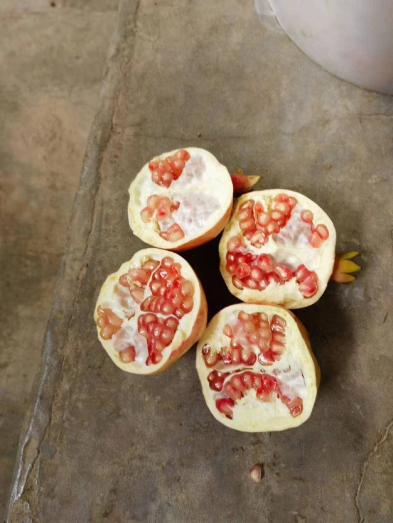 云南蒙自甜石榴