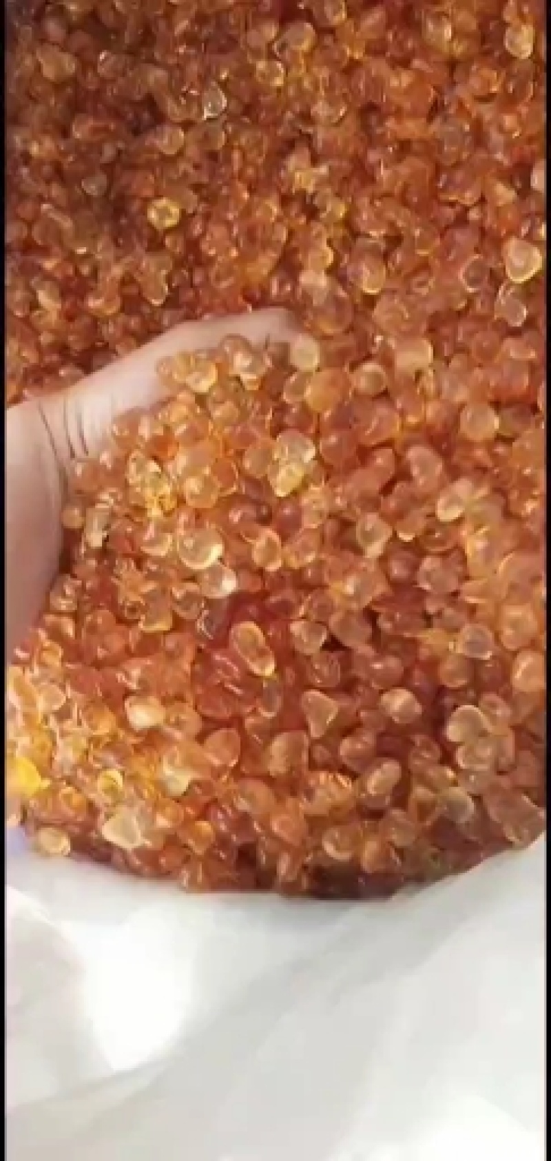 源头产地精选机磨珍珠桃胶无硫无糖无杂粒粒饱满