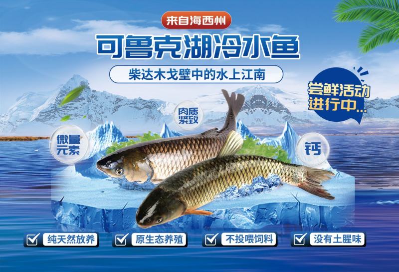 可鲁克湖冷水鱼