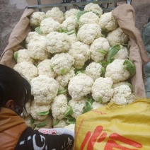 精品花菜，有机花菜，精品有机花，鲜货，预冷都很方便，