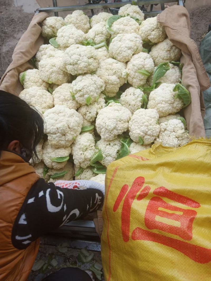 精品花菜，有机花菜，精品有机花，鲜货，预冷都很方便，