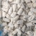 鱿鱼花鱿鱼烧烤火锅海鲜串串目鱼花