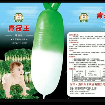 绿皮绿肉春秋两季高产萝卜种子，春秋两季露地种植可长期供货