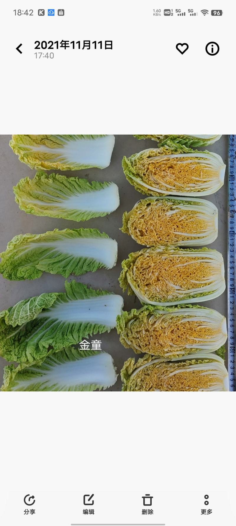 橘红芯小颗型娃娃菜种子，肉质鲜嫩口味脆甜持续供货