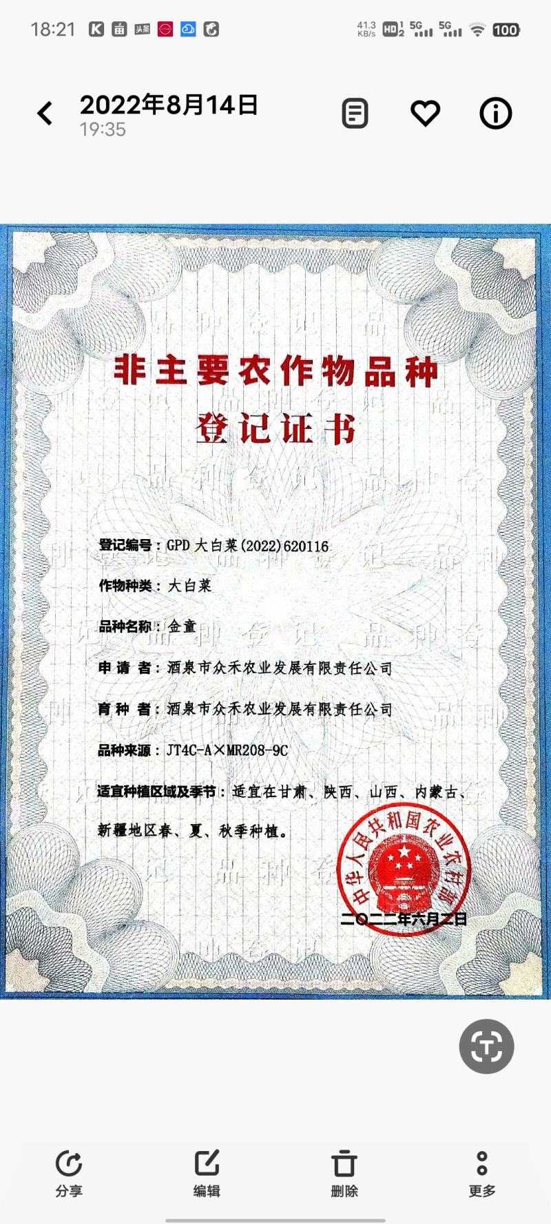 橘红芯小颗型娃娃菜种子，肉质鲜嫩口味脆甜持续供货