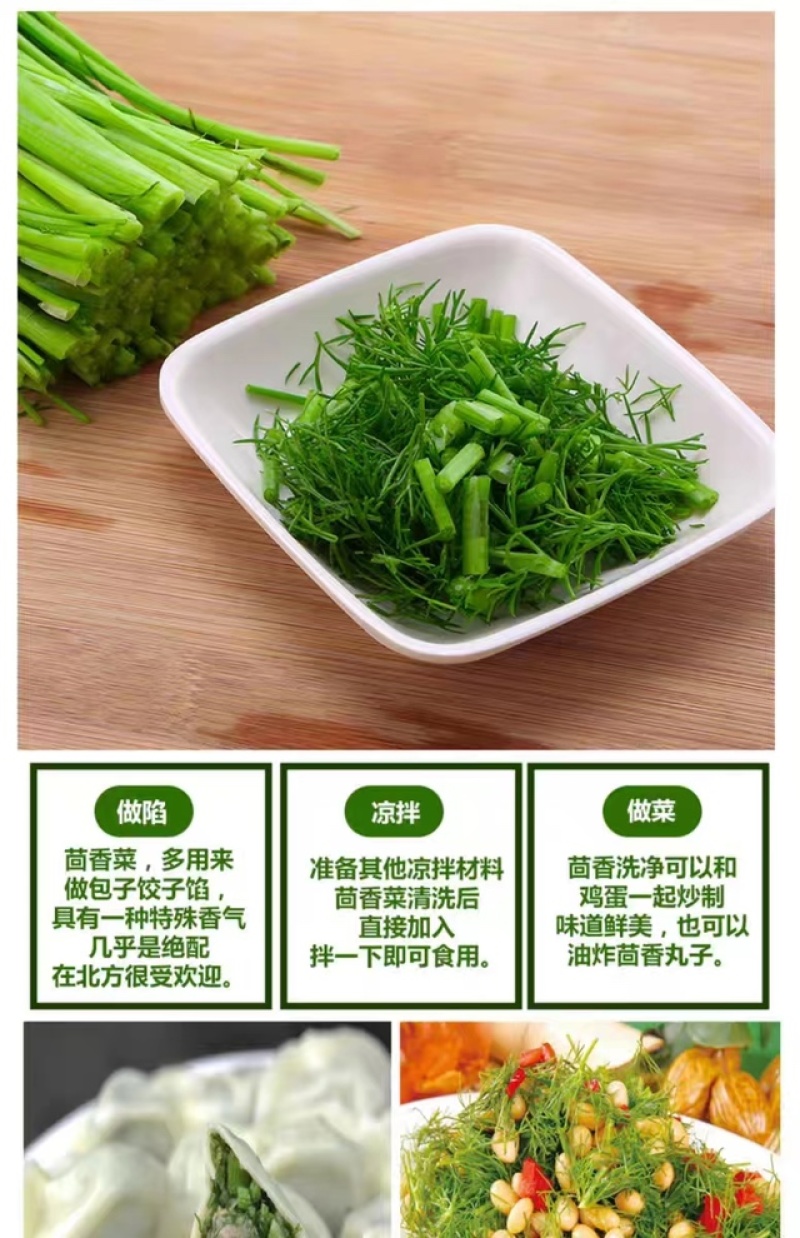 云南新鲜小茴香大棚蔬菜种植茴香菜
