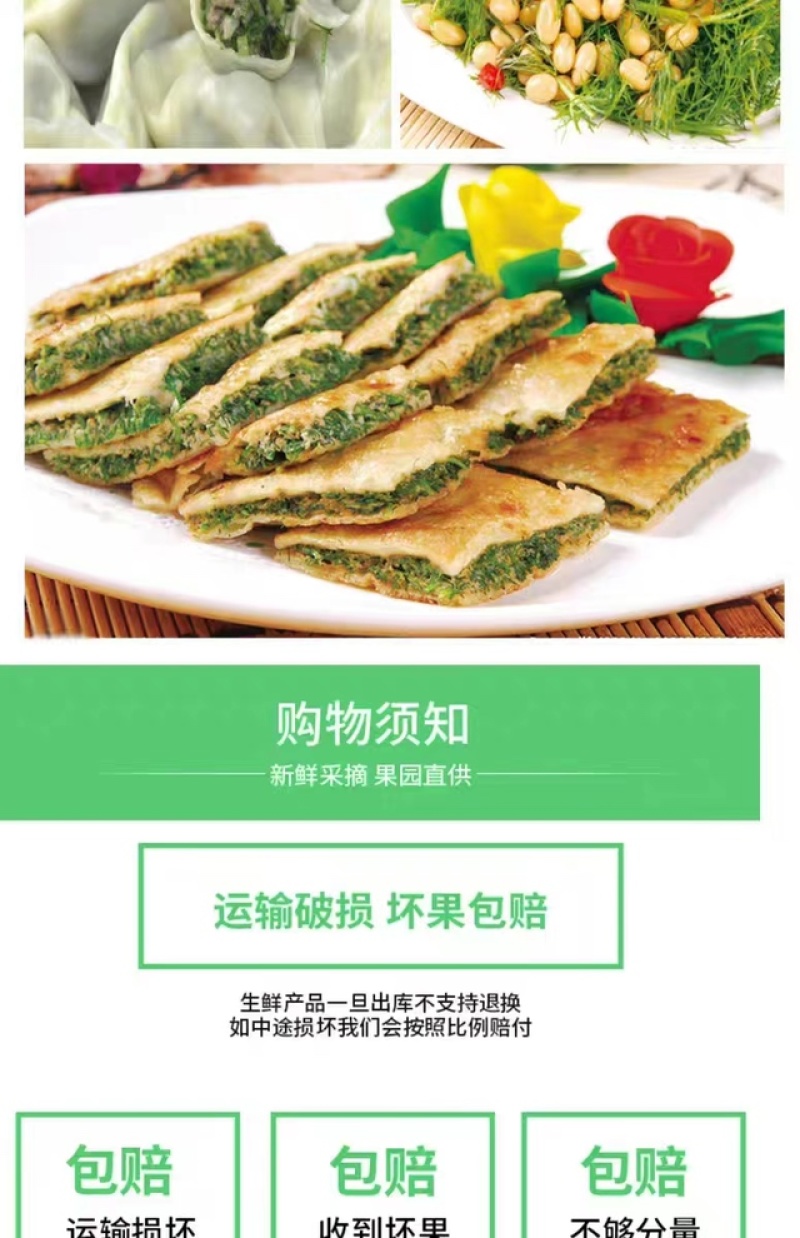 云南新鲜小茴香大棚蔬菜种植茴香菜