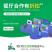 云南蔬菜新鲜羽衣甘蓝甘蓝叶