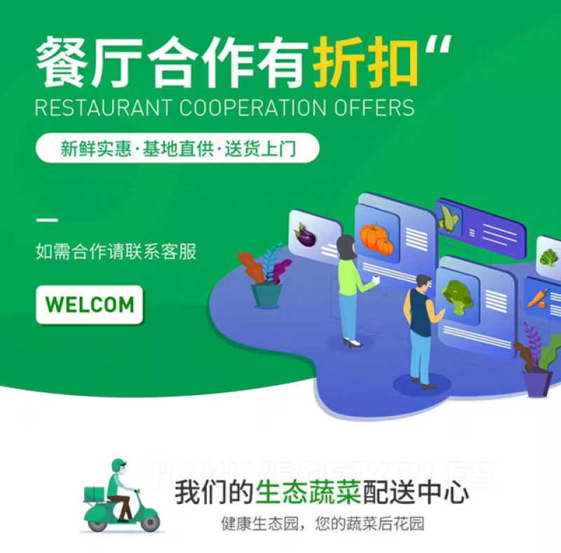 云南蔬菜新鲜羽衣甘蓝甘蓝叶