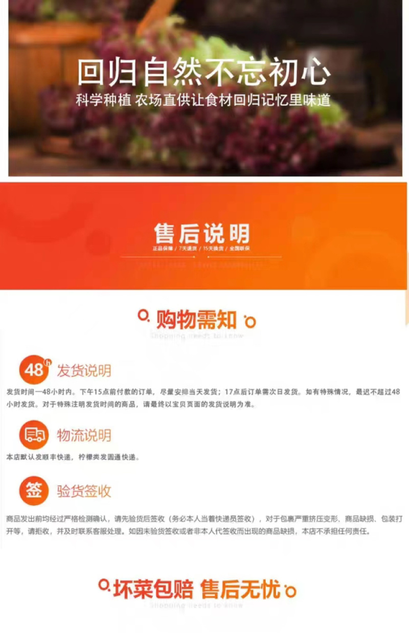 云南蔬菜新鲜羽衣甘蓝甘蓝叶