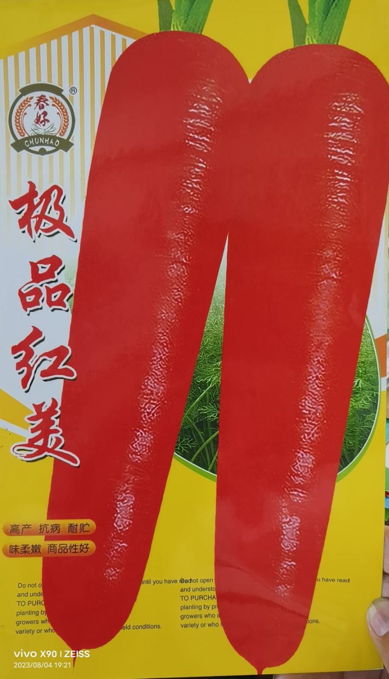 三红六寸胡萝卜春秋种植耐抽苔根型顺直美观口感脆一手货源。