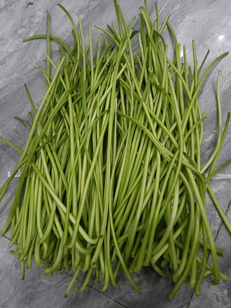 红薯梗