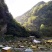 四川野蜂蜜高山自产大量上市一手货源养胃又养颜生态无污染