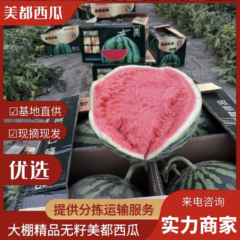 【实力】河南精品美都麒麟西瓜，脆甜可口，产地直发全国