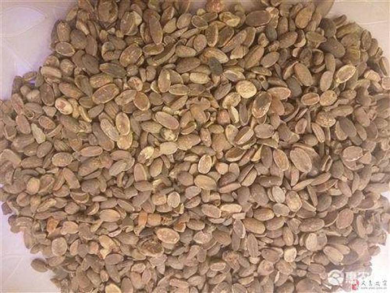 河南米橡仁质量保证产地直发可视频看货欢迎咨询