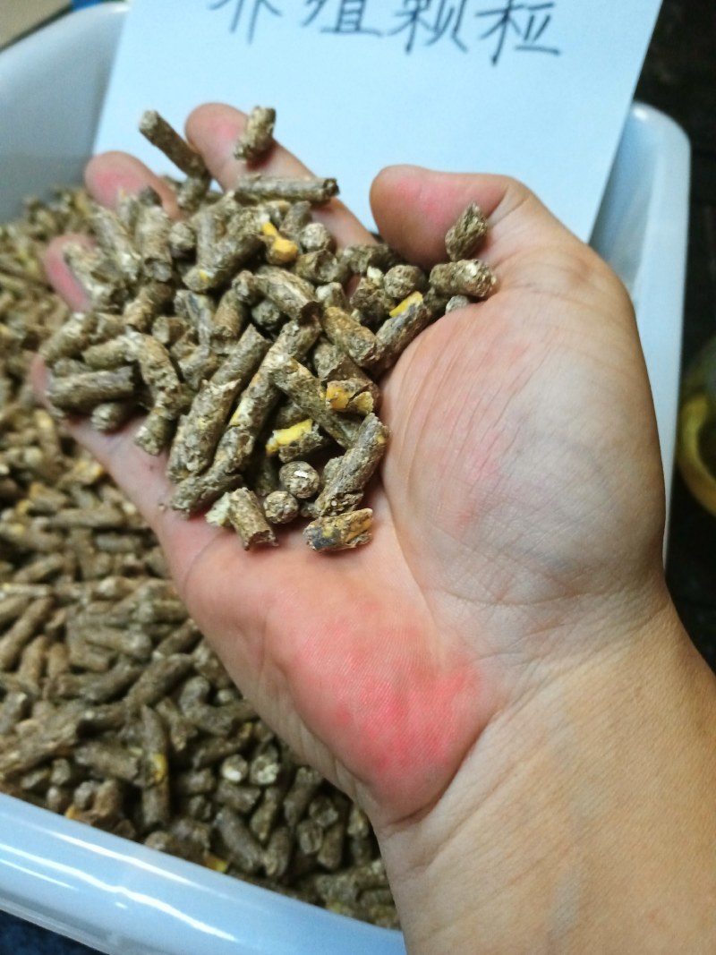 玉米次粉麸皮熟化颗粒高蛋白高营养适合鸡鸭鹅牛羊猪等