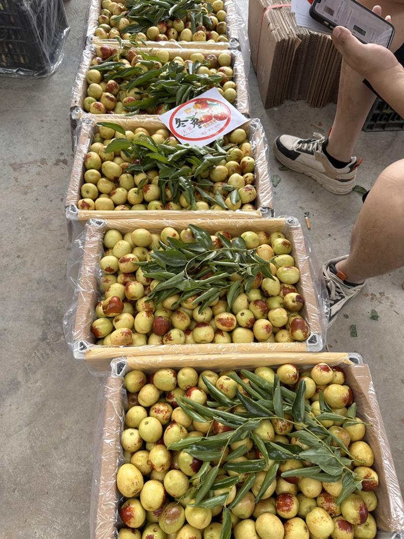 大荔冬枣！冬枣！陕西冬枣！对接超市，市场，平台等！