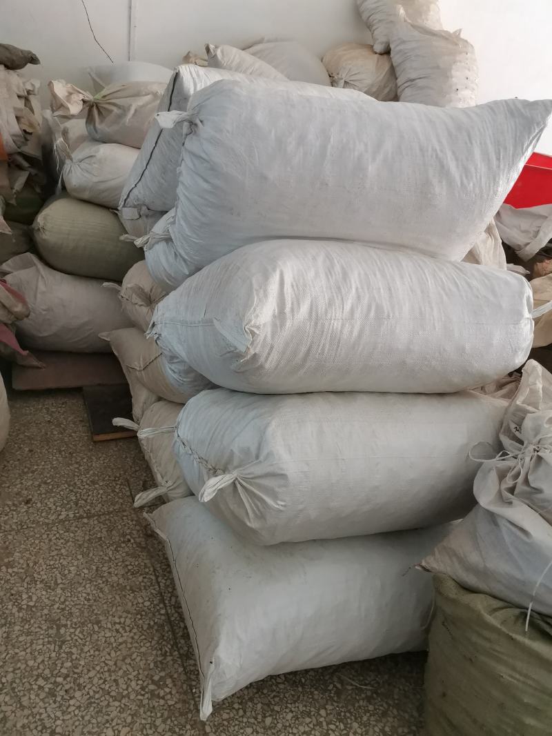 带朱砂点苍术片中药材无硫苍术片根个子苍术颗粒苍术粉批发