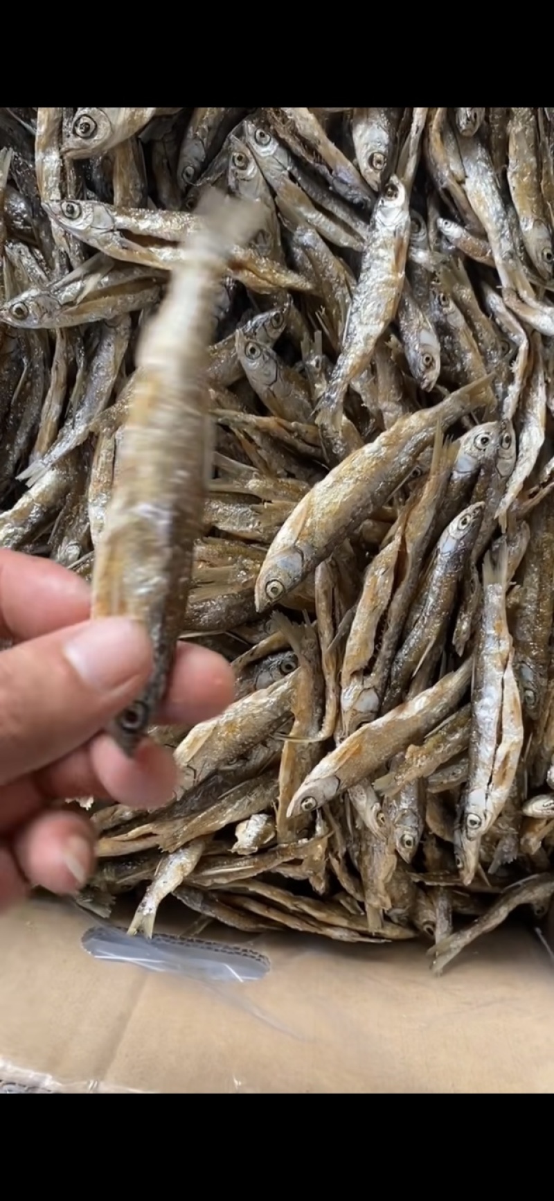 开肚油炸白条鱼展会地摊开肚油炸白条鱼白肚鱼蓝刀白肖翘嘴鱼
